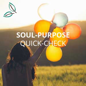 Soul-Purpose-Quick-Check