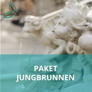 Paket Jungbrunnen - Brunnen
