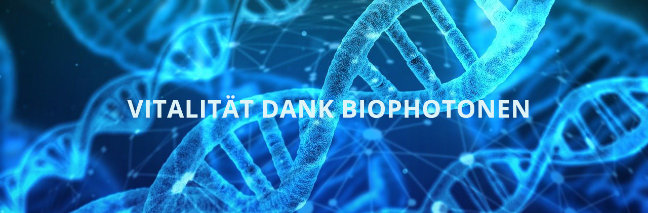 Vitalität dank Biophotonen